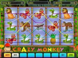 Crazy Monkey Deluxe image